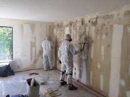 Lewisburg, WV Mold Remediation Company